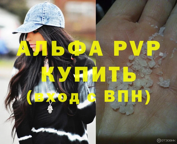 стаф Козловка