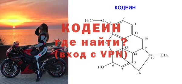 стаф Козловка