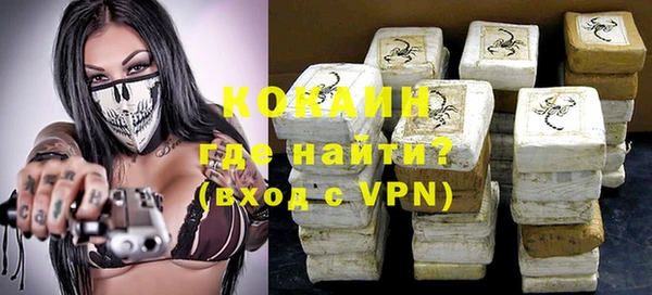 стаф Козловка