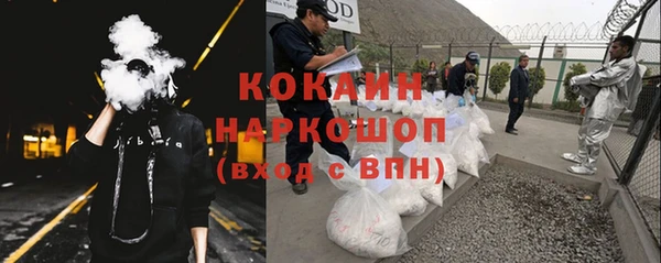 стаф Козловка
